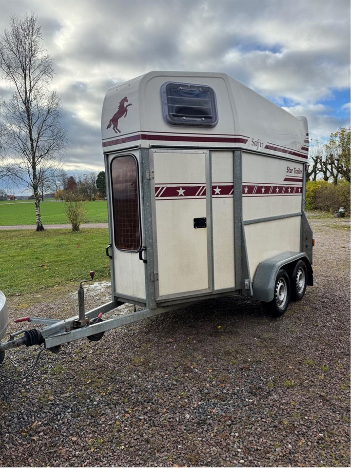 Hästtransport Star trailer sa...