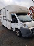 Hästlastbil Fiat Ducato/Boj. 2007. uttagen 20070516.