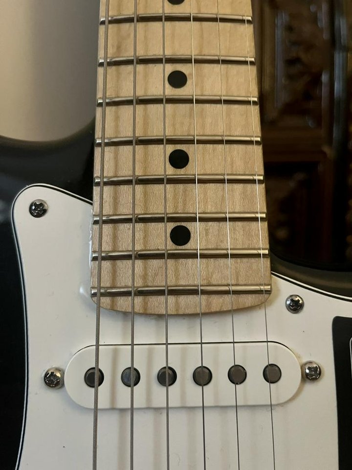Fender Stratocaster Player Svart