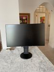 EIZO FlexScan EV2451