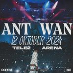 Ant Wan