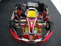 Gokart 125 cc