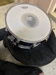 Pearl session elite 14x6,5 snare