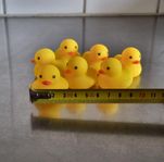 10st små badankor med pip, rubber ducks, baby ducks
