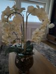 konstblomma orkidee med glaskruka 