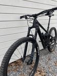 CANYON strive CF 2.0 2020