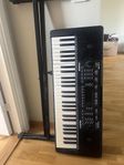 alesis melody 54