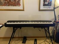 Yamaha P255