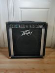 Peavey basic 50