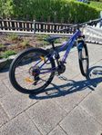 Trek Malin 5 - mountainbike 