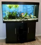 Akvarium Juwel 260 liter