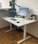 Study Table - Electrical Sit and Stand