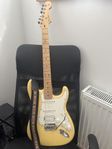 Fender Stratocaster Player Series (MIM)