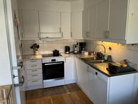 Kitchen cabinets and appliances 