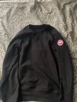 canada goose sweatshirt 