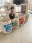 6st Harry Potter muggar