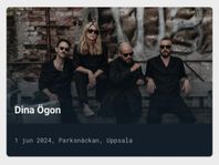 Dina Ögon i Uppsala 1 juni 