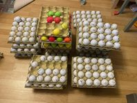 golfbollar 5kr/st