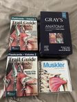 trail guide to the body 1&2, Grays anatomy flashcards