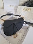 Dior Seddle Bag