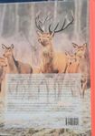 Happy hunting En bok om jakt, jägare och jyckar Inbunden