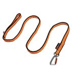 Non-Stop Dogwear Bungee leash Hundkoppel. NYTT!