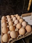Ägg från Hedemora