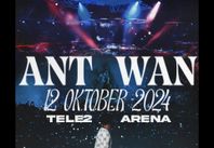Ant Wan Antwan Tele2 Arena 2024 1 biljett