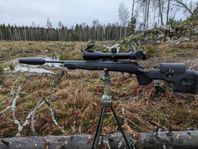 blaser R8 .308w grs bifrost