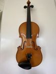 Violin Ernst Heinrich Roth B7  0340