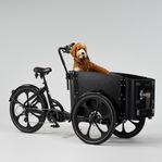 cargobike Delight dog 