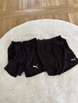 puma shorts 