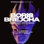 Boris Brejcha stockholm
