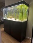 Designakvarium 220 liter CIANO Svart komplett