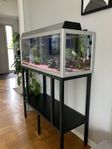 Akvarium med alla tillbehör