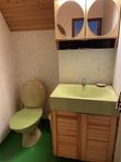 Retro - badrum inredning: handfat + toalett