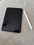 iPad mini 6 (Wi-Fi+cellular)+apple pen