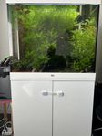 juwel akvarium 200 lt