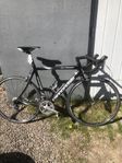 cannondale synapse