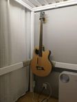 Fretless acoustic bass guitar