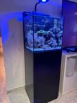 Akvarium Max Nano Cube Saltvatten med koraller och fiskar