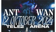 3 st biljetter  ANTWAN konsert, tele 2 arena 2024 
