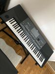 korg pa 600