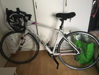 Sport Cykel, Märke Specialized 