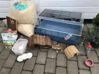 Hamsterbur och transportbur med diverse tillbehör