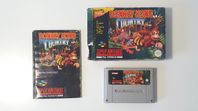 Donkey Kong Country (SNES)