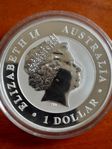 Silvermynt, 1 dollar australien 2013 koala