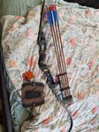 Hoyt satori recurve