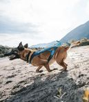 Dragsele till hund. Freemotion 5.0 harness, knappt använt 