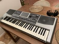 korg pa900